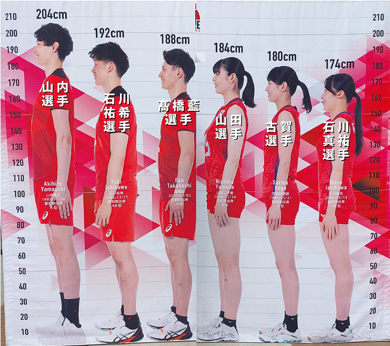2023年度バレーボール全日本代表登録選手メンバーの身長